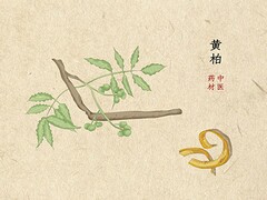 小小运动会作文_“袖珍”运动会作文