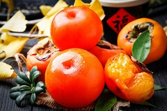 试用期劳动合同完整_试用期劳动合同应该包含哪些